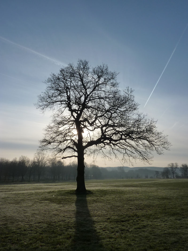 Towneley Hall